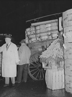 Commission Merchant at market, 1939. Image courtesy of Library of Congress. Commission Merchant at market, 1939. Image courtesy of Library of Congress.