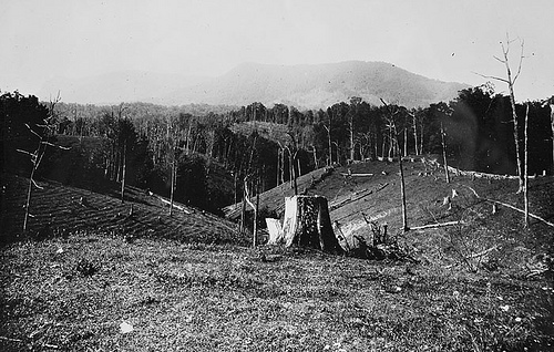 First Views of Humpback, Sept 19, 1908, near old corner tree; Bicknell Photograph Collection, North Carolina State Archives, call #: PhC8_78, Raleigh, NC. First Views of Humpback, sept 19, 1908, near old corner tree Bicknell Photograph Collection, North Carolina State Archives, call #: PhC8_78, Raleigh, NC.