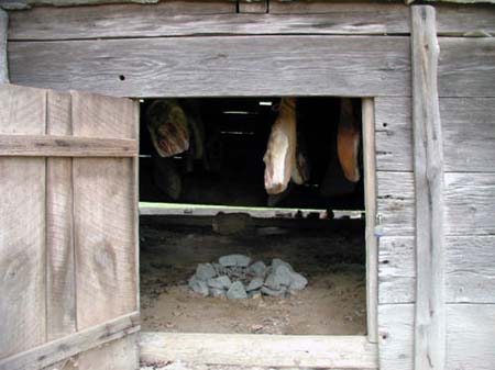 Photograph of the interior of a traditional North Carolina smokehouse with animal pelts strung in the ceiling of the structure. 