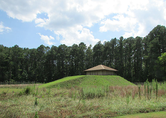 The Town Creek Indian Mound is at the top of a hill in a field surrounded by several large trees 