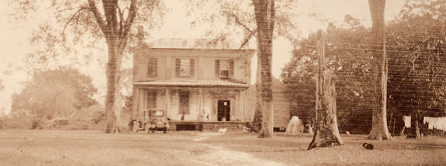 Photograph of Mulberry Grove, circa-1920-1940. Image from the State Library of North Carolina. Photograph of Mulberry Grove, circa-1920-1940. Image from the State Library of North Carolina.