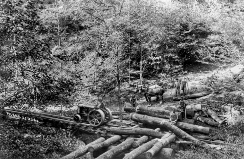 Logging operation in western North Carolina (date unknown). Horses were used to move logs to a staging area where they were picked up by a tractor on rails. North Carolina Collection, University of North Carolina at Chapel Hill Library. Logging operation in western North Carolina (date unknown). Horses were used to move logs to a staging area where they were picked up by a tractor on rails. North Carolina Collection, University of North Carolina at Chapel Hill Library.