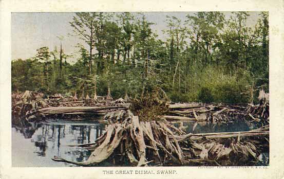 Colorized photo of "The Great Dismal Swamp." 1907. Jamestown Amusement and Vending Company