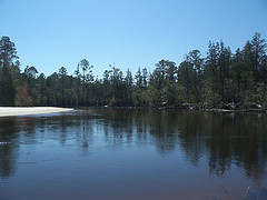 "Blackwater River, North Carolina  The Great Coharie Creek flows into the Blackwater River. The Chowan River is formed by the merging of this river and the Nottoway River." Image courtesy of Flickr user eutrophication&hypoxia, uploaded on May 4, 2010. 