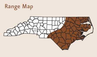 cottonmouth range nc ncpedia general information