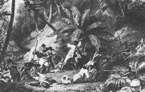 "Haitian Revolution (1791-1804)." 