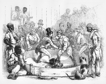 Cockfight in eastern North Carolina, ca. 1857. North Carolina Collection, University of North Carolina at Chapel Hill Library.