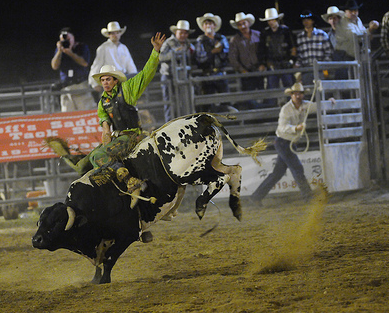 Bull rider, North Carolina