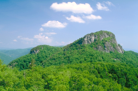 Photo of a tree-covered mountain top in the Pisgah National Forest