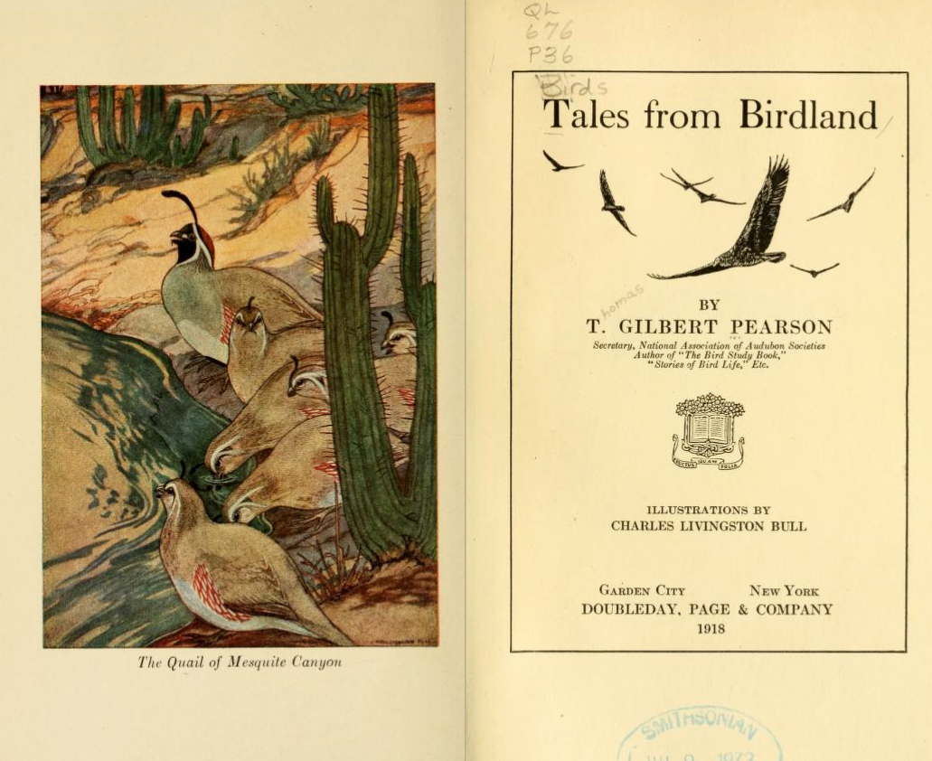 Title page and illustration from T. Gilbert Pearson's <i>Tales from Birdland,</i> published 1918 by Doubleday, Page & Company.  Presented on Archive. org. 