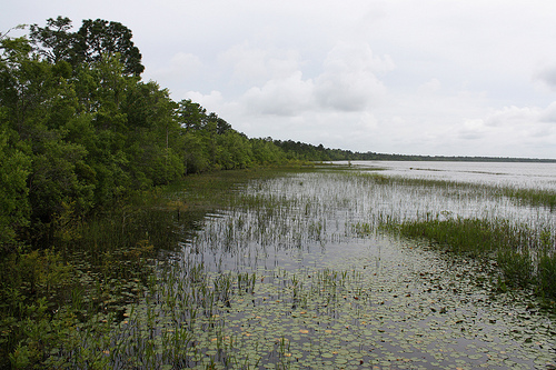 Lake Waccamaw