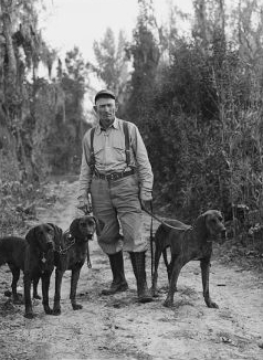 "Unidentified man with Plott Hounds on a bear hunt in Lake Waccamaw, NC, circa early 1950s." Image courtesy of UNC Libraries. 