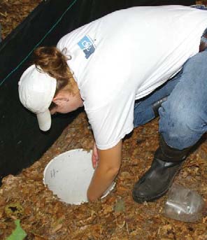 Ways to help monitor the southern leopard frog