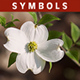 Symbols