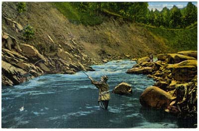 Image of man fly fishing in a river. Trout Fishing in Little River, Great Smoky Mountains National Park. Postcard image ca. 1930s-1940s. From the Durwood Barbour Collection of North Carolina Postcards, UNC-Chapel Hill.