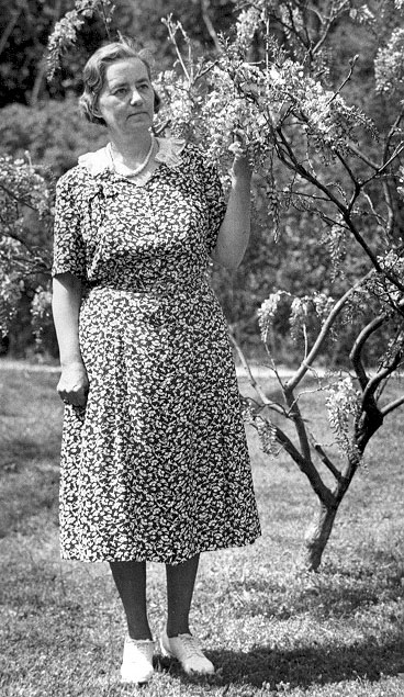 Alma Holland Beers in Coker Arboretum, University of North Carolina, Chapel Hill, October 1950. The photograph accompanied an article describing Alma's winning essay. Image from John N. Couch Biology Library, University of North Carolina, Chapel Hill.