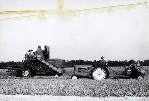 Photograph of farmers with a tractor and harvester, harvesting wheat in Rocky Mount, N.C., 1952. Photograph from the Braswell Memorial Library, DigitalNC.