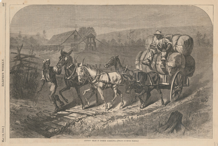 "Cotton team in North Carolina," illustration from Harper's Weekly, May 12, 1866. From the collections of the New York Public Library.