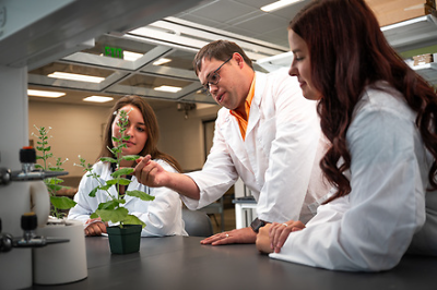 A person in a labcoat touches a plant while two other people in labcoats look on. 