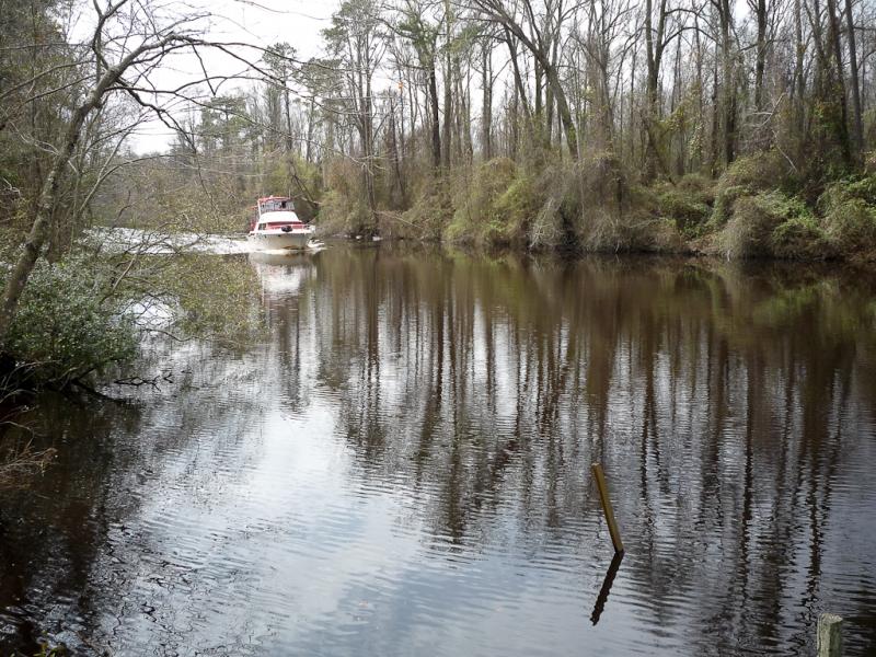 Dismal Swamp Canal. There is a wide waterway with a boat traveling across it. There are marsh trees and grasses grown on the banks. The sky is cloudy.
