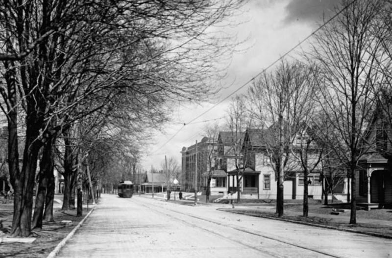 Street view with streetcar in background A streetcar on a residential avenue with trees growing alongside.