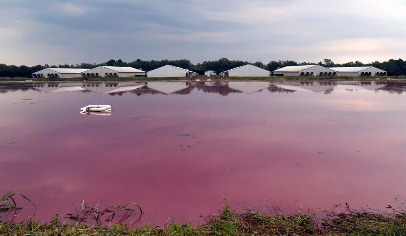 Hog Waste Lagoon Hog Waste Lagoon