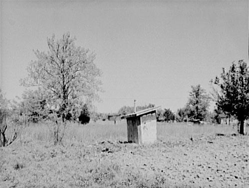 A decrepit privy in a field.