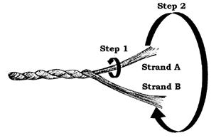 Diagram of twisting fibers to make cordage