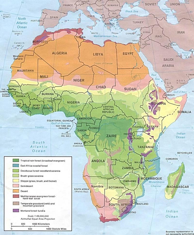 Vegetation Map Of Africa Map of Africa showing natural vegetation | NCpedia