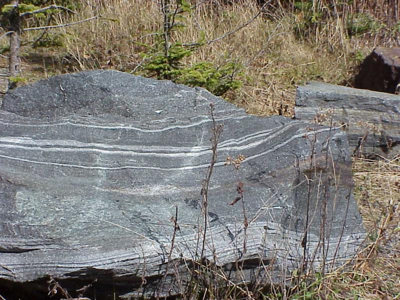 <img typeof="foaf:Image" src="http://statelibrarync.org/learnnc/sites/default/files/images/boulder_roan.jpg" width="1024" height="768" alt="A boulder of Roan Mountain gneiss" title="A boulder of Roan Mountain gneiss" />