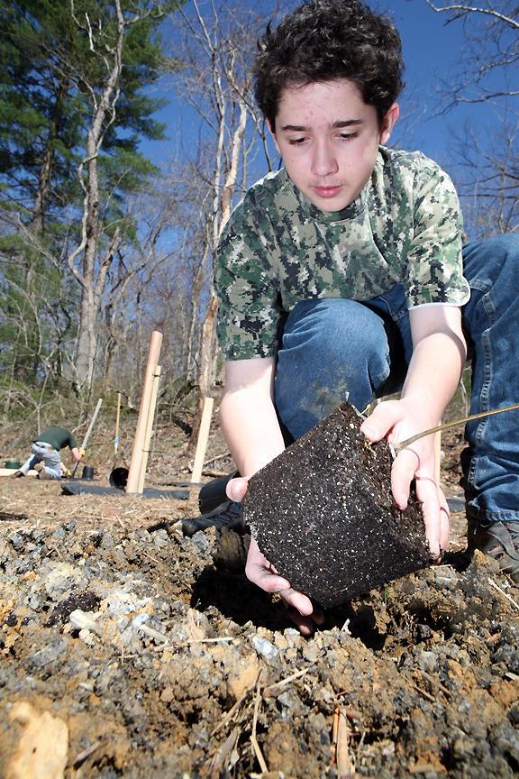 <img typeof="foaf:Image" src="http://statelibrarync.org/learnnc/sites/default/files/images/boyscout-planting-chestnut-tree.jpg" width="576" height="864" alt="American chestnut plant and a boyscout" title="American chestnut plant and a boyscout" />