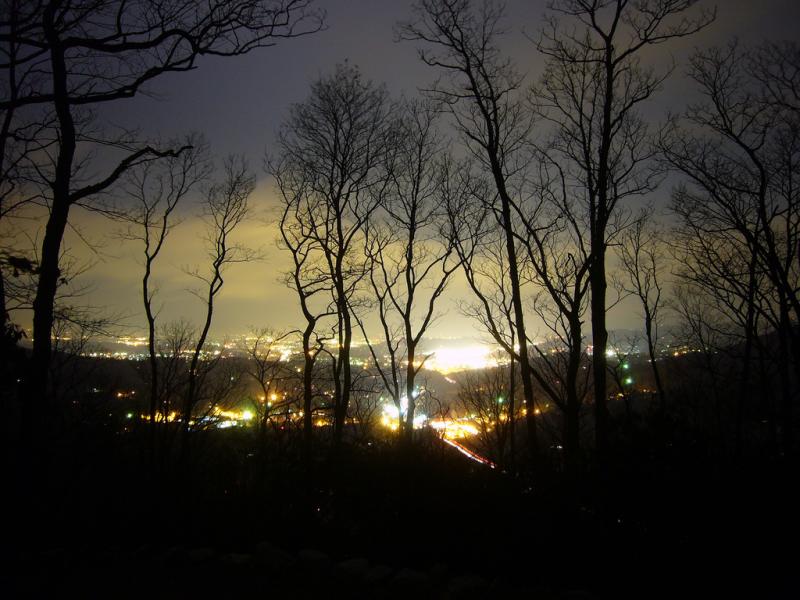 <img typeof="foaf:Image" src="http://statelibrarync.org/learnnc/sites/default/files/images/buncomecoashevilleatnight.jpg" width="1024" height="768" alt="Lights of Asheville seen through trees" title="Lights of Asheville seen through trees" />