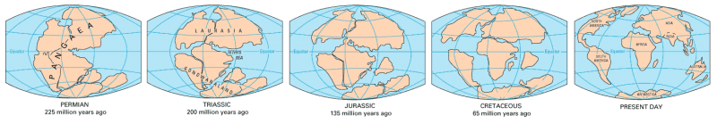 <img typeof="foaf:Image" src="http://statelibrarync.org/learnnc/sites/default/files/images/continents_map.png" width="1472" height="256" alt="Map of the continents through geologic time" title="Map of the continents through geologic time" />