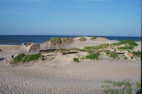 Coquina Beach Ncpedia All Rights Reserved