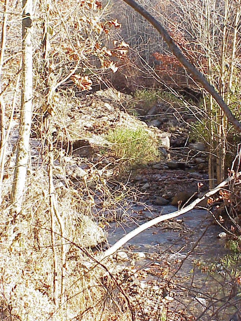 <img typeof="foaf:Image" src="http://statelibrarync.org/learnnc/sites/default/files/images/creek_roan_highlands.jpg" width="768" height="1024" alt="Creek at base of Roan Highlands" title="Creek at base of Roan Highlands" />