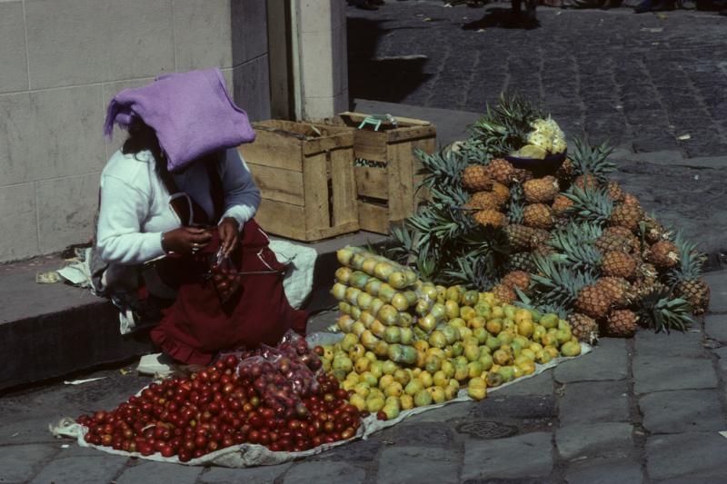 <img typeof="foaf:Image" src="http://statelibrarync.org/learnnc/sites/default/files/images/ecuador_019.jpg" width="1024" height="682" alt="Seated woman selling fruit" title="Seated woman selling fruit" />