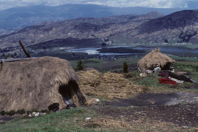 <img typeof="foaf:Image" src="http://statelibrarync.org/learnnc/sites/default/files/images/ecuador_038.jpg" width="1024" height="682" alt="Two thatched-roof huts on a farm in Ecuador" title="Two thatched-roof huts on a farm in Ecuador" />