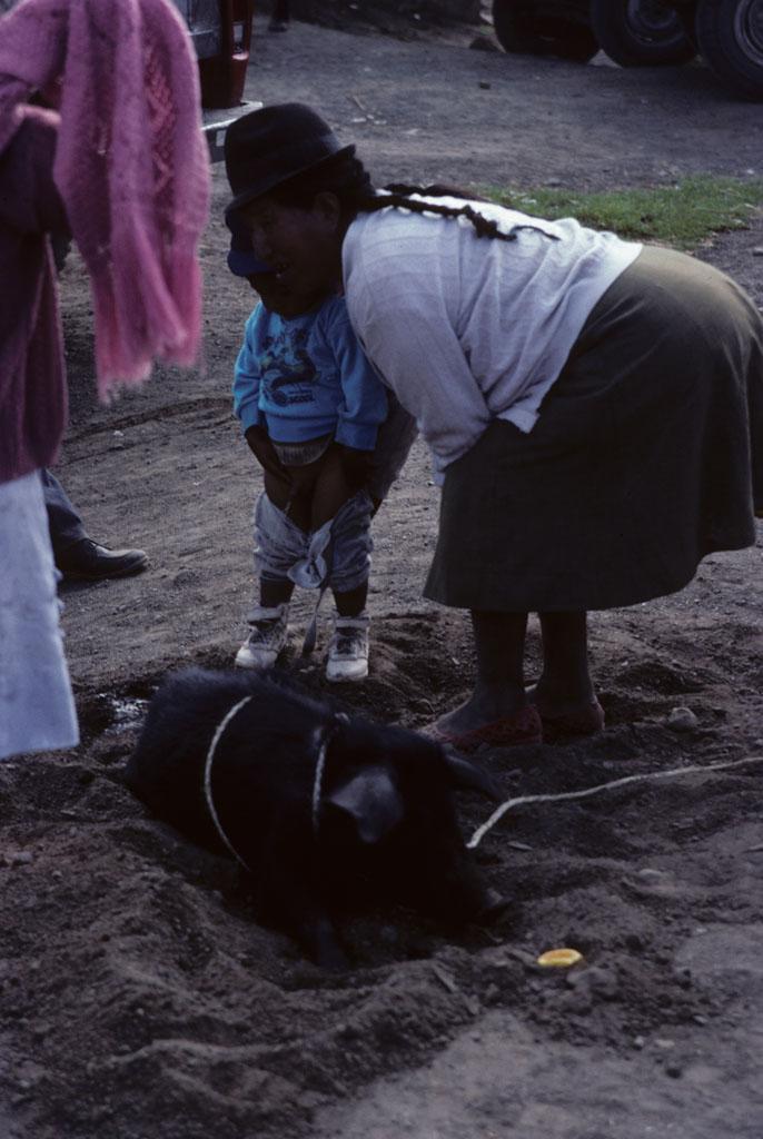 <img typeof="foaf:Image" src="http://statelibrarync.org/learnnc/sites/default/files/images/ecuador_151.jpg" width="686" height="1024" /> <img typeof="foaf:Image" src="http://statelibrarync.org/learnnc/sites/default/files/images/ecuador_151.jpg" width="686" height="1024" />