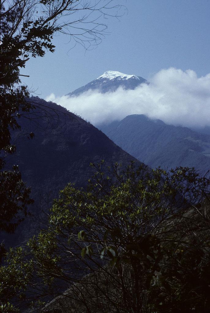 <img typeof="foaf:Image" src="http://statelibrarync.org/learnnc/sites/default/files/images/ecuador_206.jpg" width="686" height="1024" /> <img typeof="foaf:Image" src="http://statelibrarync.org/learnnc/sites/default/files/images/ecuador_206.jpg" width="686" height="1024" />