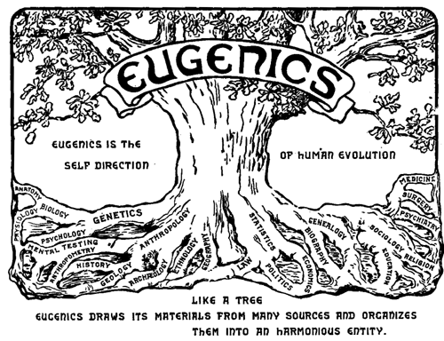 Drawing of a large tree representing the practice of eugenics.