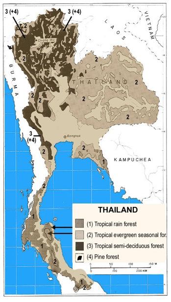 <img typeof="foaf:Image" src="http://statelibrarync.org/learnnc/sites/default/files/images/forest_growth_thailand.jpg" width="349" height="613" alt="Forest growth in Thailand" title="Forest growth in Thailand" />