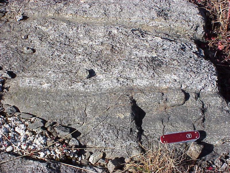 <img typeof="foaf:Image" src="http://statelibrarync.org/learnnc/sites/default/files/images/gneiss_and_gabbro.jpg" width="1024" height="768" alt="Gneiss and gabbro" title="Gneiss and gabbro" />