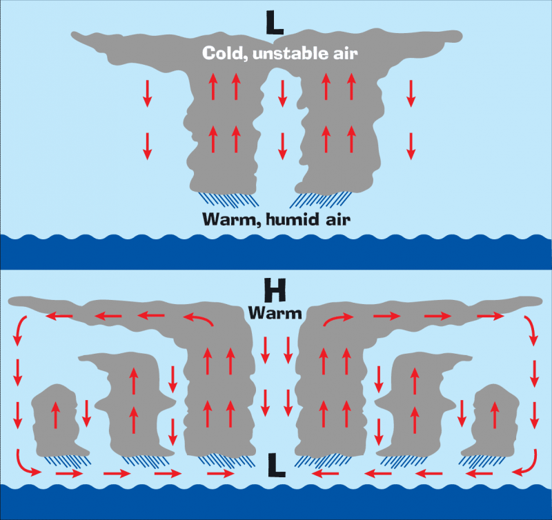 <img typeof="foaf:Image" src="http://statelibrarync.org/learnnc/sites/default/files/images/hurricane_formation.png" width="1201" height="1132" alt="Hurricane formation" title="Hurricane formation" />