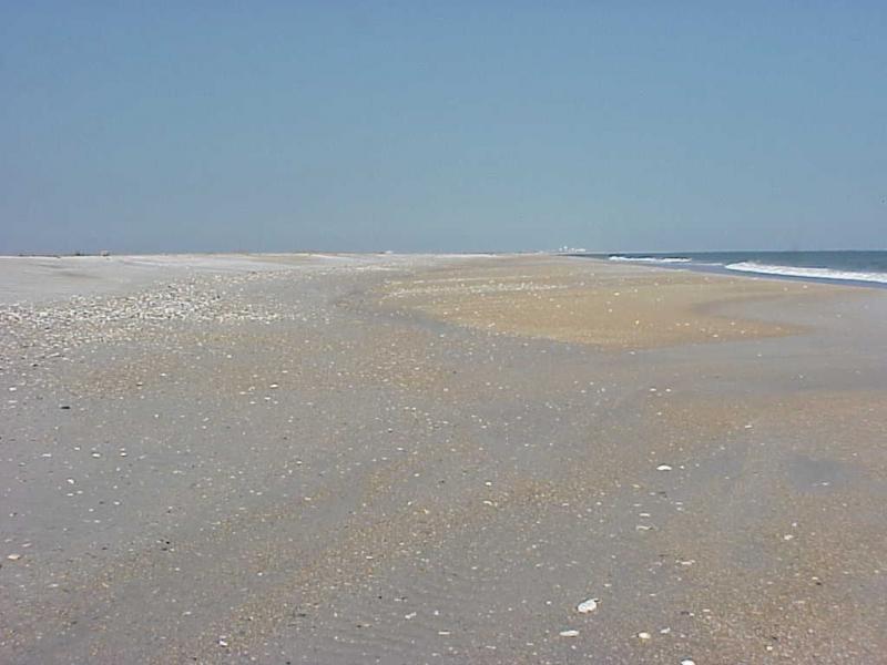<img typeof="foaf:Image" src="http://statelibrarync.org/learnnc/sites/default/files/images/midtide_beach.jpg" width="1024" height="768" alt="Mid-tide beach" title="Mid-tide beach" /> <img typeof="foaf:Image" src="http://statelibrarync.org/learnnc/sites/default/files/images/midtide_beach.jpg" width="1024" height="768" alt="Mid-tide beach" title="Mid-tide beach" />