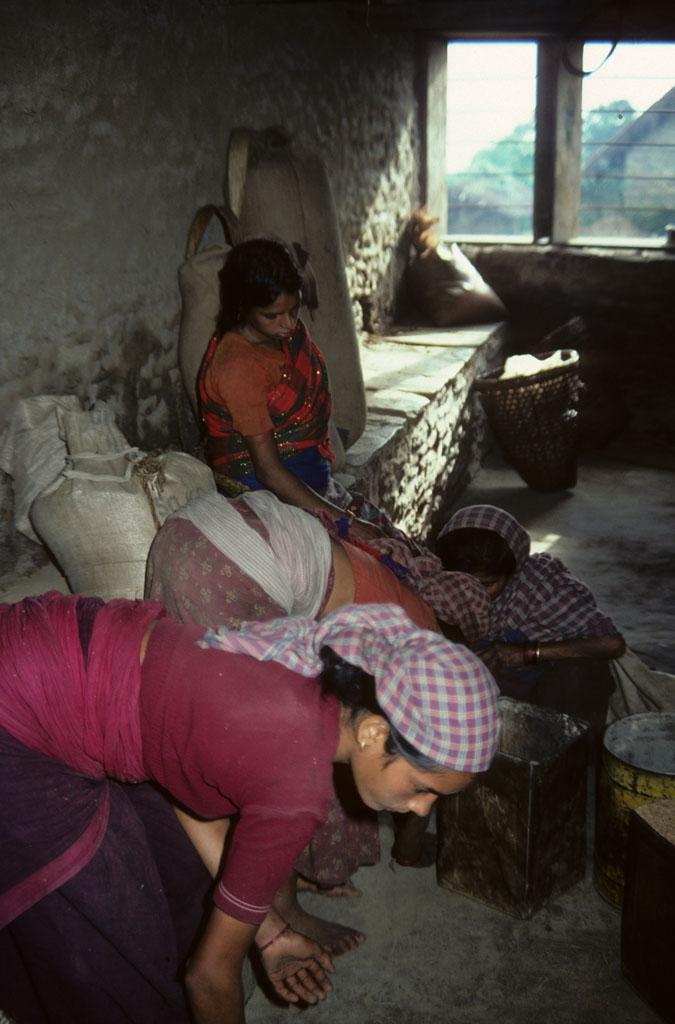 <img typeof="foaf:Image" src="http://statelibrarync.org/learnnc/sites/default/files/images/nepal_045.jpg" width="675" height="1024" alt="Women at a grain mill" title="Women at a grain mill" />