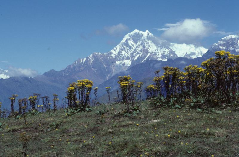 <img typeof="foaf:Image" src="http://statelibrarync.org/learnnc/sites/default/files/images/nepal_084.jpg" width="1024" height="675" /> <img typeof="foaf:Image" src="http://statelibrarync.org/learnnc/sites/default/files/images/nepal_084.jpg" width="1024" height="675" />