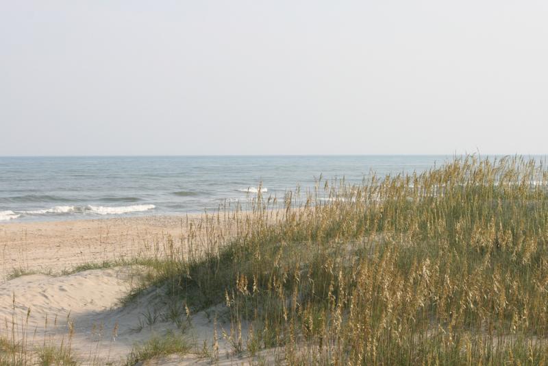 Beach on Ocracoke Island. The dunes are covered in grasses and the ocean waves break in the background. It is midday. 