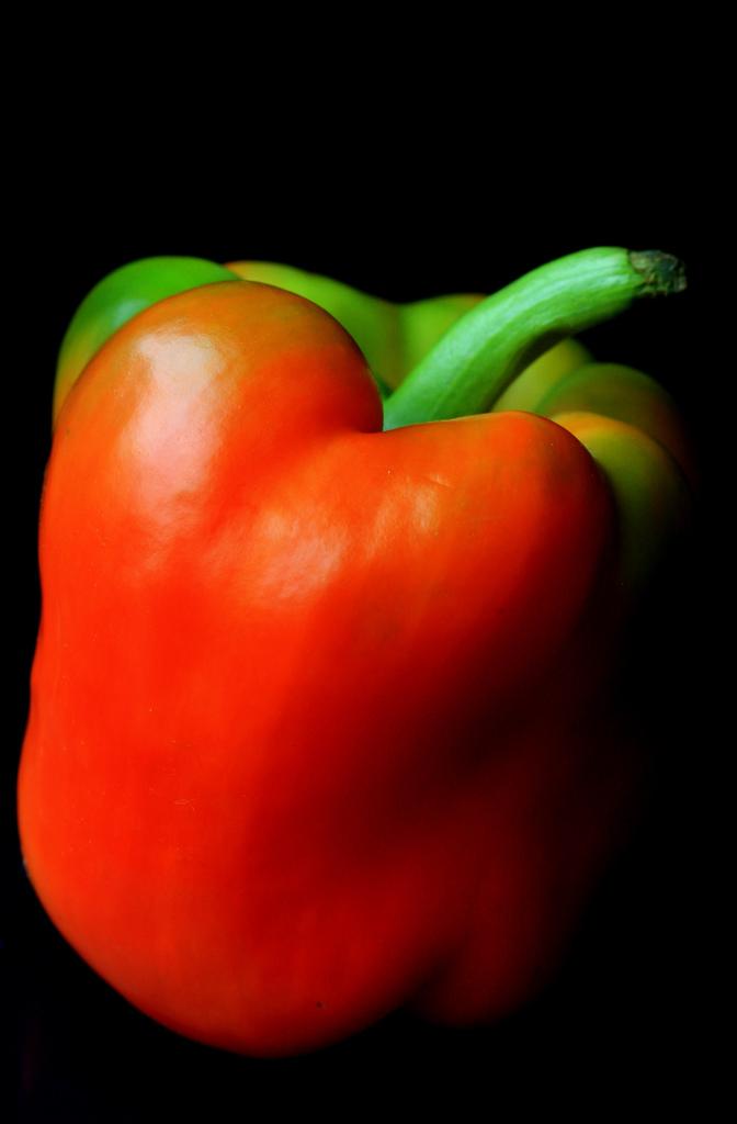 <img typeof="foaf:Image" src="http://statelibrarync.org/learnnc/sites/default/files/images/pepper.jpg" width="672" height="1024" alt="Ripening bell pepper" title="Ripening bell pepper" />