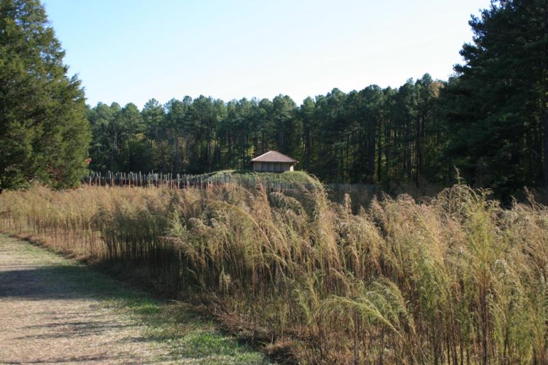 Prairie outside Town Creek Indian Mound Prairie outside Town Creek Indian Mound