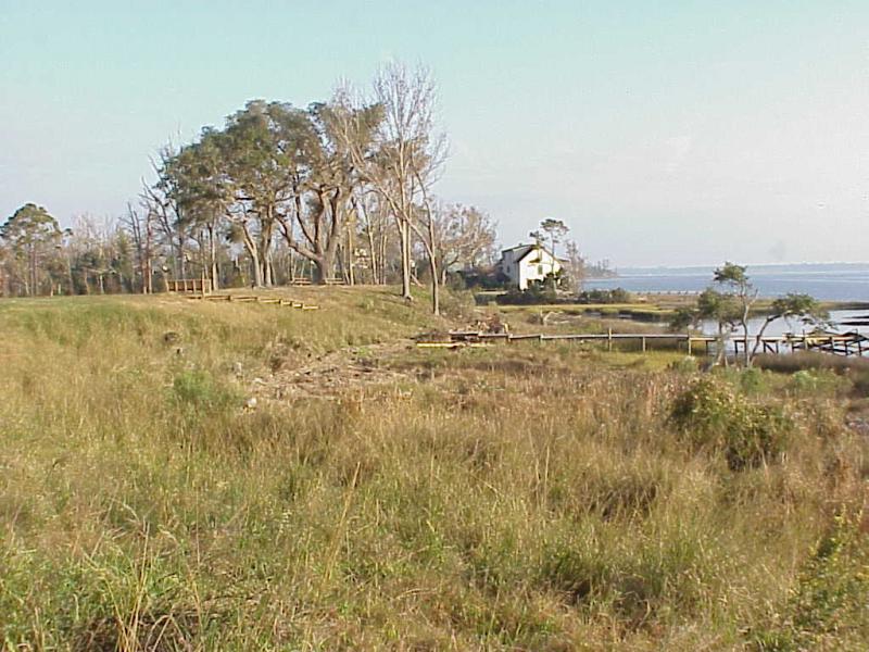 <img typeof="foaf:Image" src="http://statelibrarync.org/learnnc/sites/default/files/images/shoreline.jpg" width="1024" height="768" alt="Ancient shoreline in Swansboro, NC" title="Ancient shoreline in Swansboro, NC" />